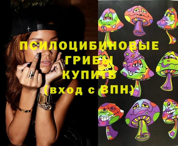 бошки Алзамай