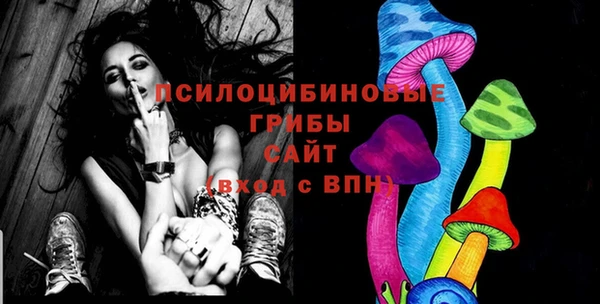 бошки Алзамай