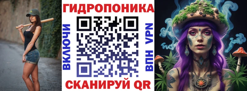 Бошки Шишки планчик  Кирсанов 